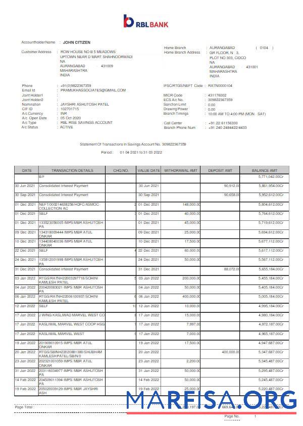 Blank India RBL bank statement word example